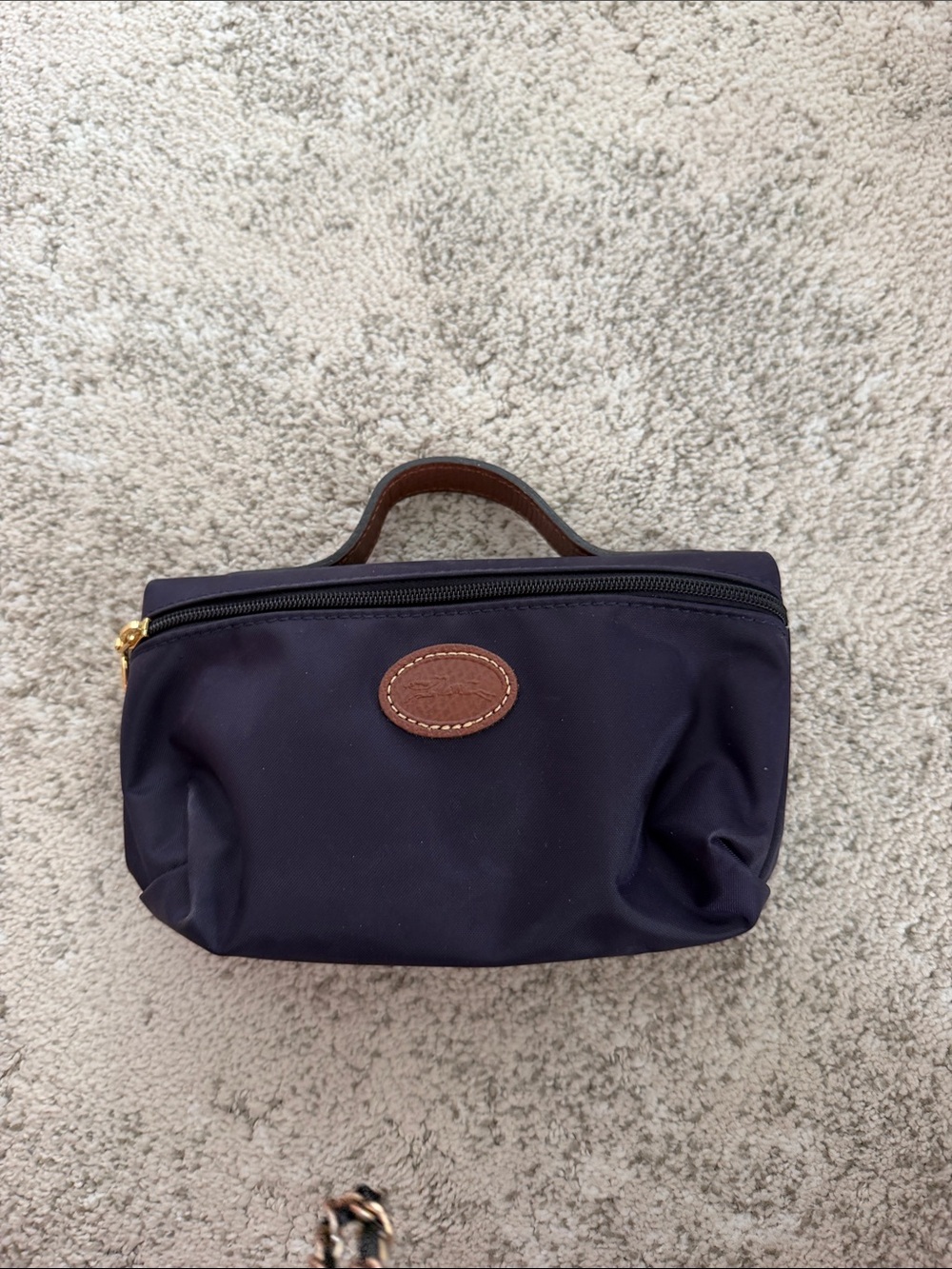 Longchamp Purple Makeup Bag